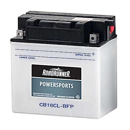 Low Maint / H-P Grp 16 12 Mo Dry Power Sport Battery