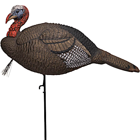 Lucky Duck Lucky HD Collapsible Jake Turkey Decoy