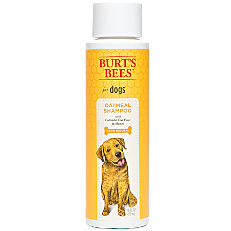 Burt's Bees 16 oz Oatmeal Shampoo w/ Colloidal Oat Flour & Honey