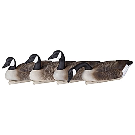 Storm Front 2 Floater Canada Goose Waterfowl Decoy - Standard 4 pk