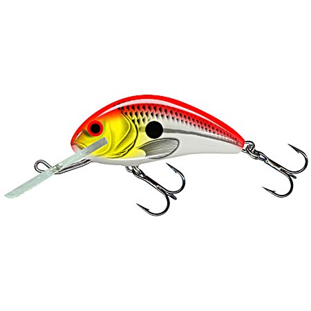 Hoopup Hornet 4 Floating Crankbait