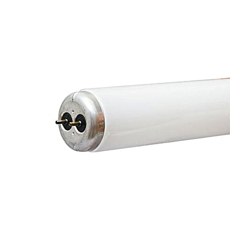 18 In. 15W T12 Cool White Fluorescent Light