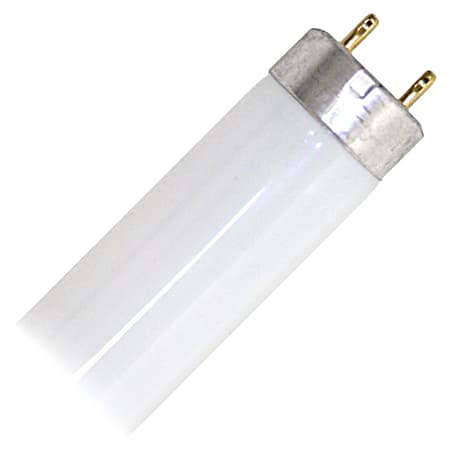 36 In. 30W T8 Cool White Fluorescent Light