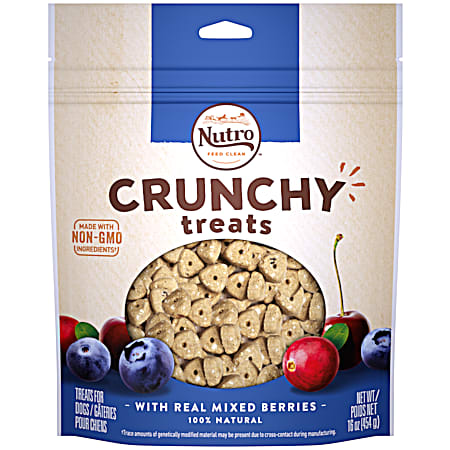 Nutro Crunchy Treats w/ Mixed Berries Dog Treats