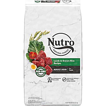 Adult Lamb & Brown Rice Dry Dog Food