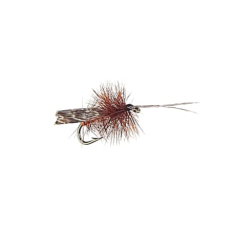 #10 Dry Fly - Tent Caddis