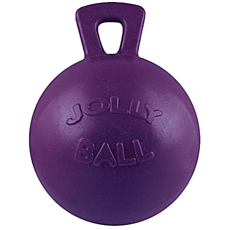 10 in Purple Jolly Ball Horse Toy