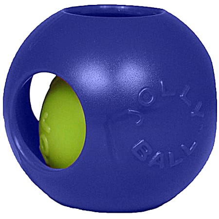 Teaser Ball 6 in Dog Toy