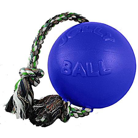 Romp-n-Roll Ball Dog Toy