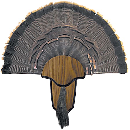 Tail & Beard Turkey Mounting Plaque