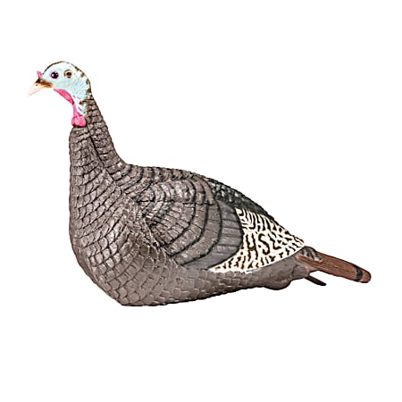 Strut- Lite Hen Turkey Decoy