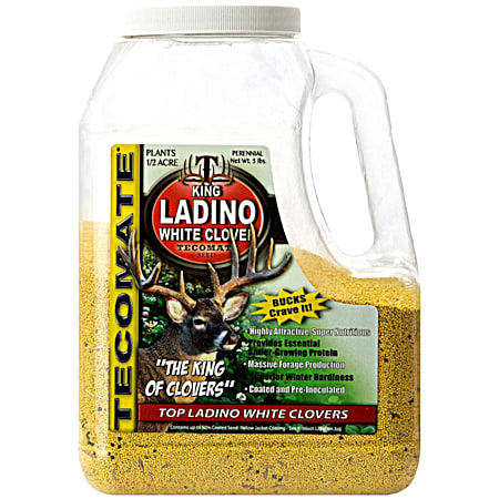 King Ladino White Clover 3.25 lb Food Plot Seed