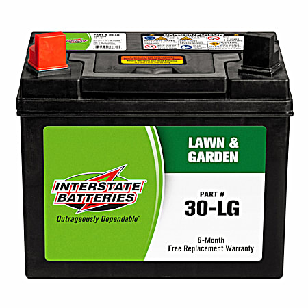 Interstate Batteries Lawn & Garden Battery Grp 30 6 Mo 250 CCA