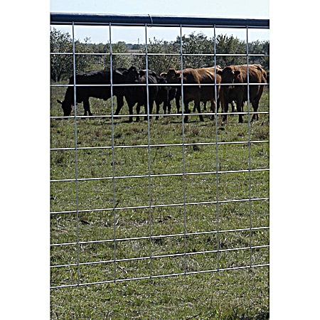 16 Ft X 50 in Max 50 Galvanized Cattle Fence Panel