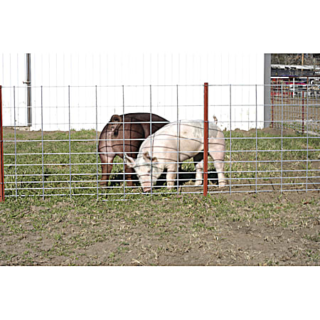 16 Ft X 30 in Max 50 Livestock Fence Panels