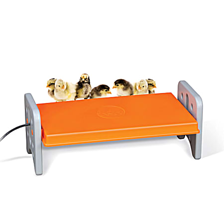 Gray/Orange Thermo-Poultry Brooder