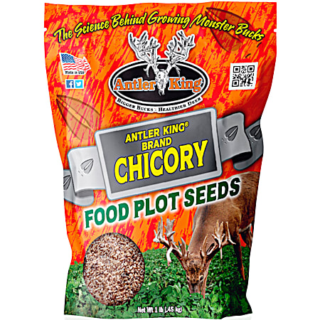 1 lb Chicory Food Plot Seeds