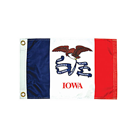 12 in x 18 in Iowa Flag