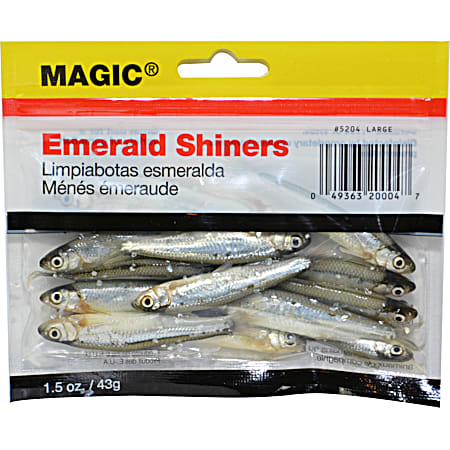 Preserved Large Emerald Shiner Minnow