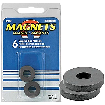 The Magnet Source 6 Pc. Ceramic Ring Magnets
