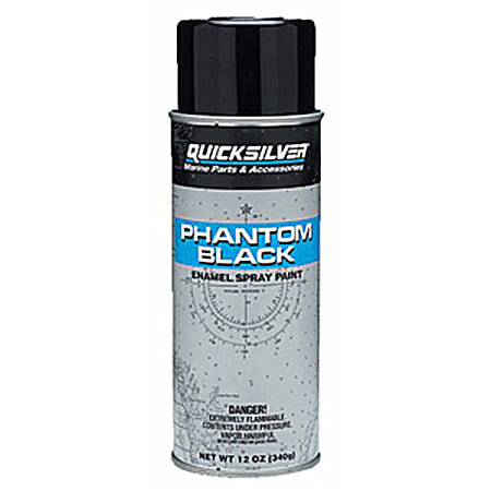 QuickSilver Phantom Paint Black