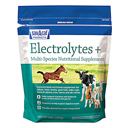 6 lbs Electrolytes Plus Multi-Species Supplement