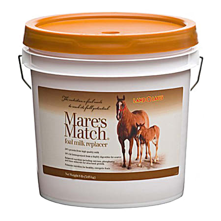 Land O' Lakes Mare's Match Foal Milk Replacer