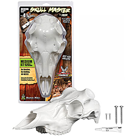 Medium Skull Master Mounting Kit