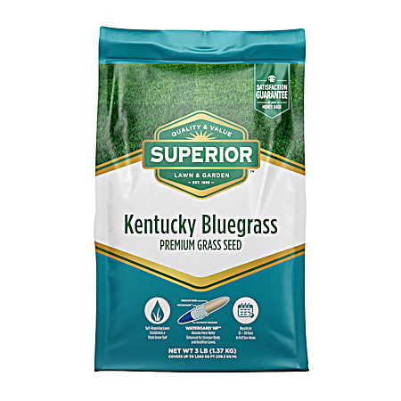 Kentucky Bluegrass Premium Grass Seed
