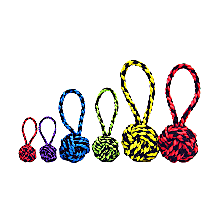 Nuts for Knots w/ Tug Dog Toy - Assorted
