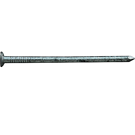 Hot Dipped Galvanized Box Nails
