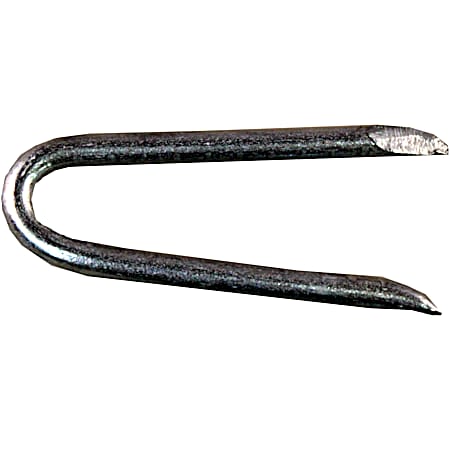 Hot Dipped Galvanized Fence Staples