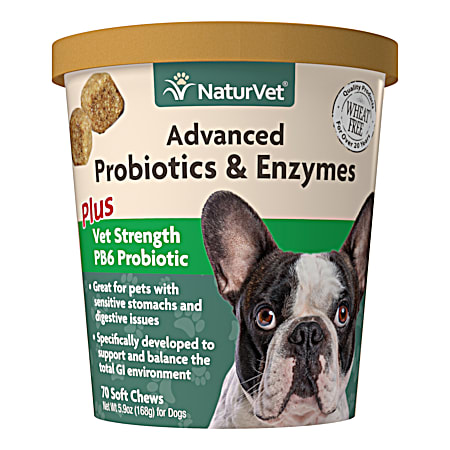 Advanced Probiotics & Enzymes Soft Chews for Dogs - 70 Ct