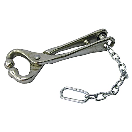 Ideal Bull Lead w/ Chain