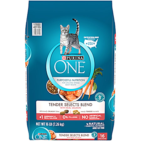 Purina ONE Adult Tender Selects Blend Salmon & Tuna Dry Cat Food
