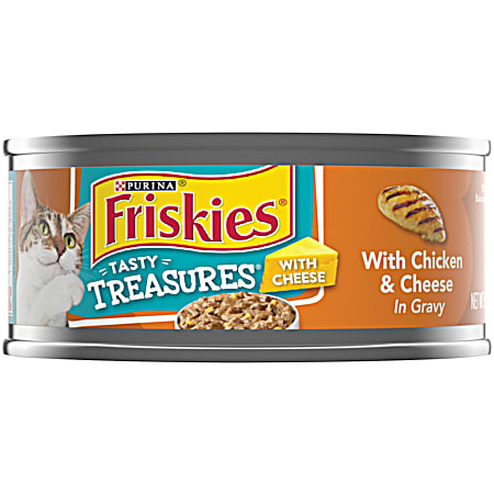 Purina Friskies Adult Tasty Treasures w/ Chicken & Cheese in Gravy Wet Cat Food