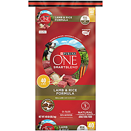 Purina ONE SmartBlend Adult Lamb & Rice Dry Dog Food