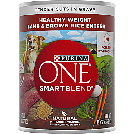 ONE Healthy Weight Adult Lamb & Brown Rice Tender Cuts in Gravy Wet Dog Food