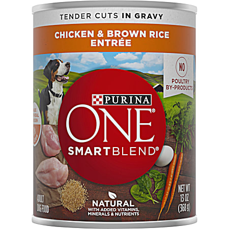 Purina ONE SmartBlend Adult Chicken & Brown Rice Tender Cuts in Gravy Wet Dog Food