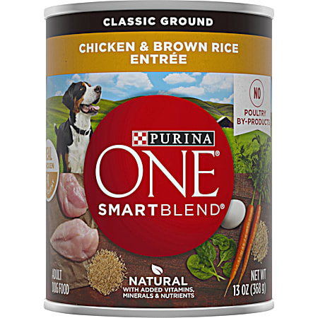 Purina ONE SmartBlend Adult Chicken & Brown Rice Classic Ground Wet Dog Food