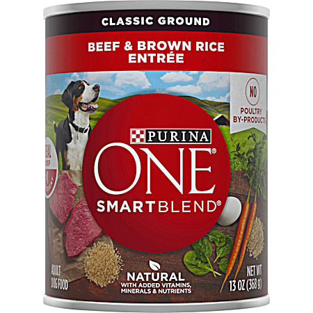 Purina ONE SmartBlend Adult Beef & Brown Rice Classic Ground Wet Dog Food