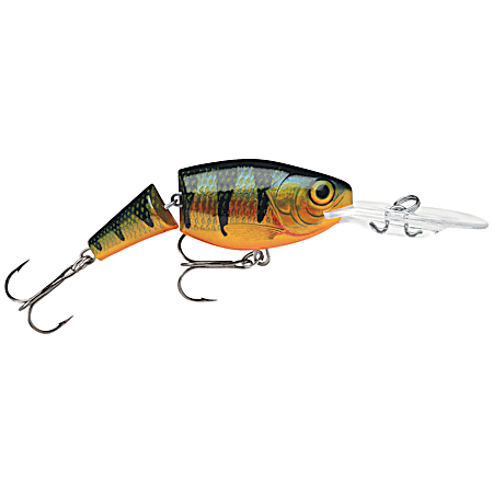Jointed Shad Rap - Perch