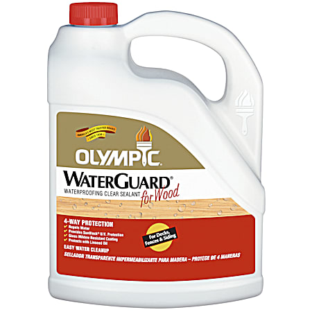 Waterguard Waterproofing Clear Sealant
