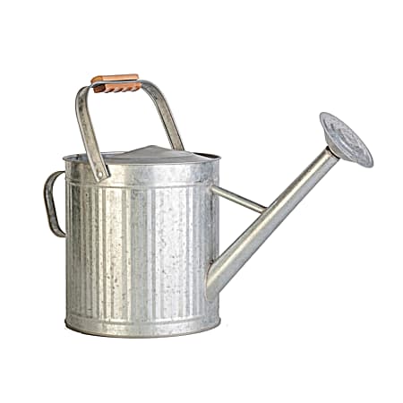 2 gal Vintage Galvanized Watering Can