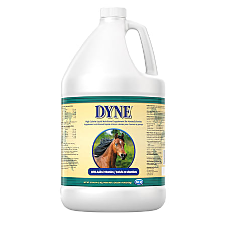 Dyne High Calorie Nutritional Supplement for Horses