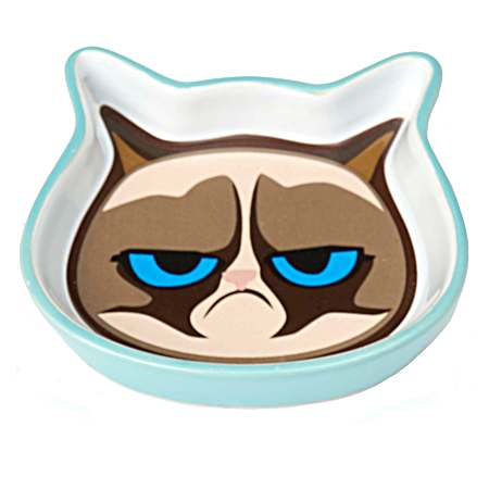 Grumpy Cat Face Shallow Saucer