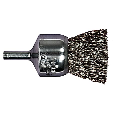 Advance 3/4 In. Crimped Wire End Brush