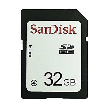 32GB Class 10 SD Card