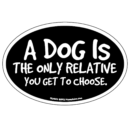 A Dog Is the Only Relative You Get to Choose Magnet