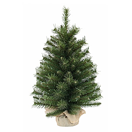 2 ft Spruce Potted Tree